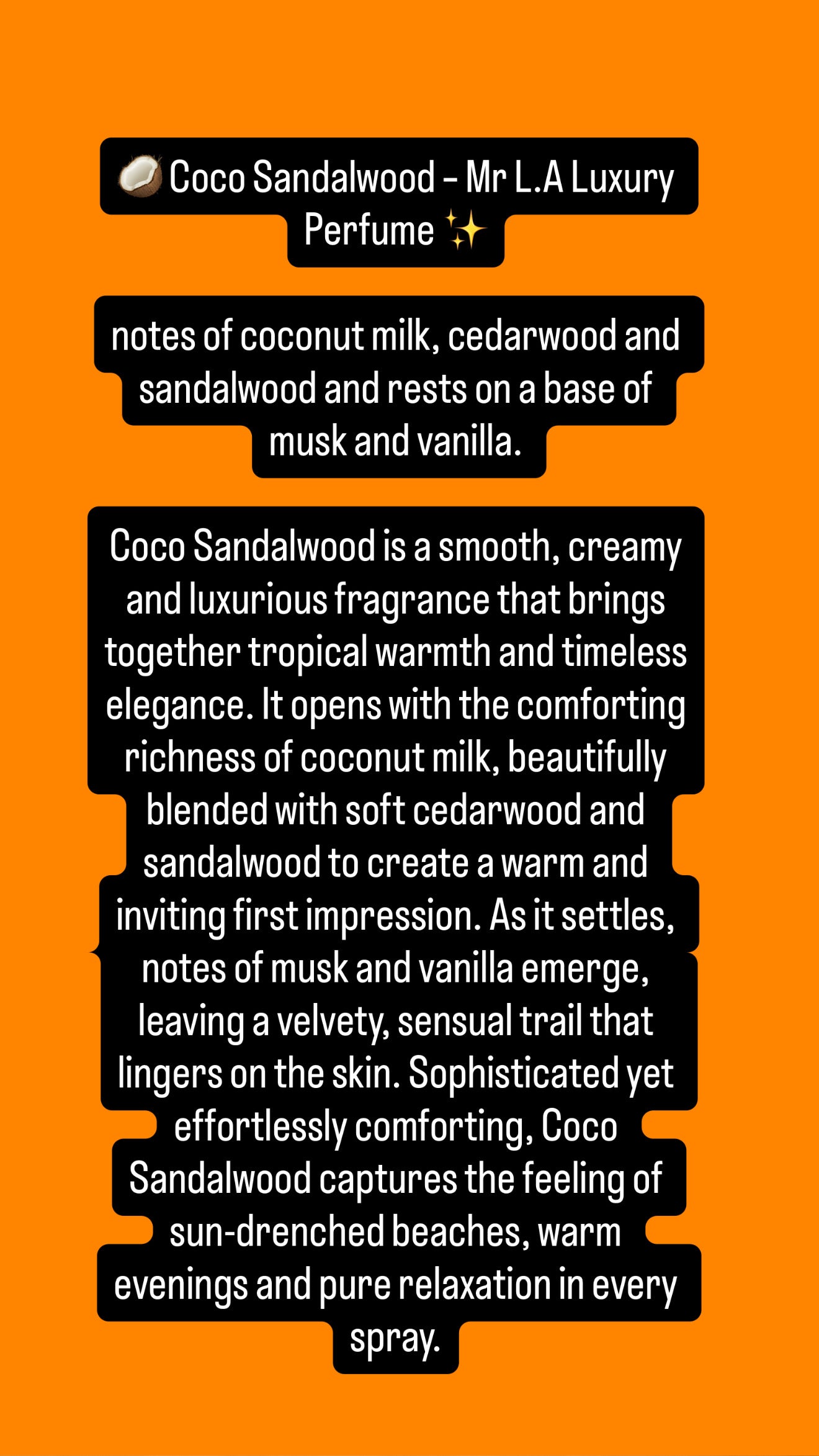 100ML Summer Collection