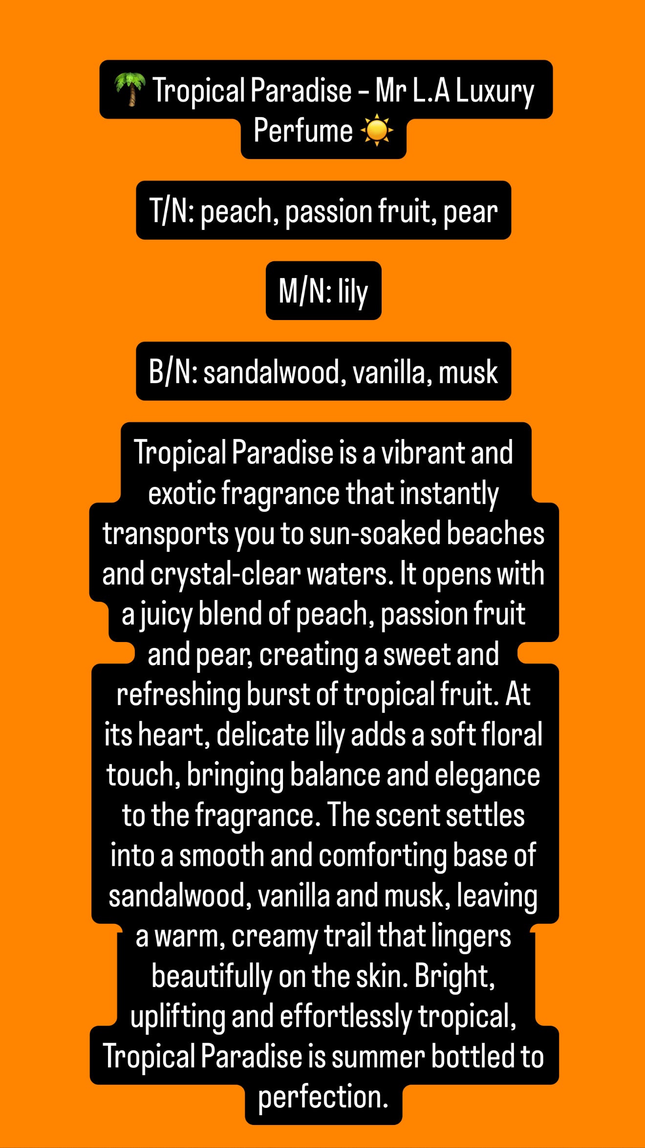 100ML Summer Collection