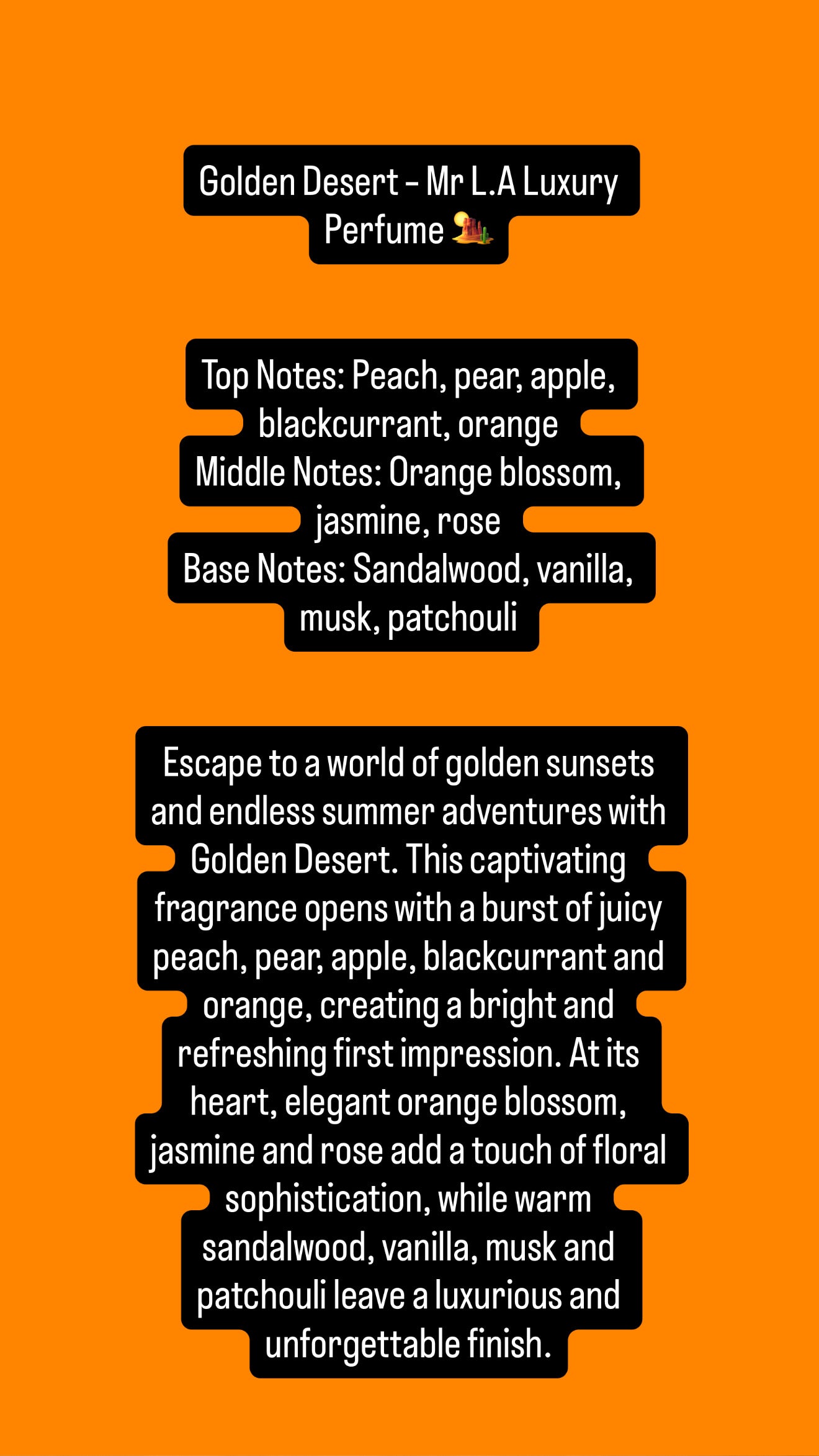 100ML Summer Collection