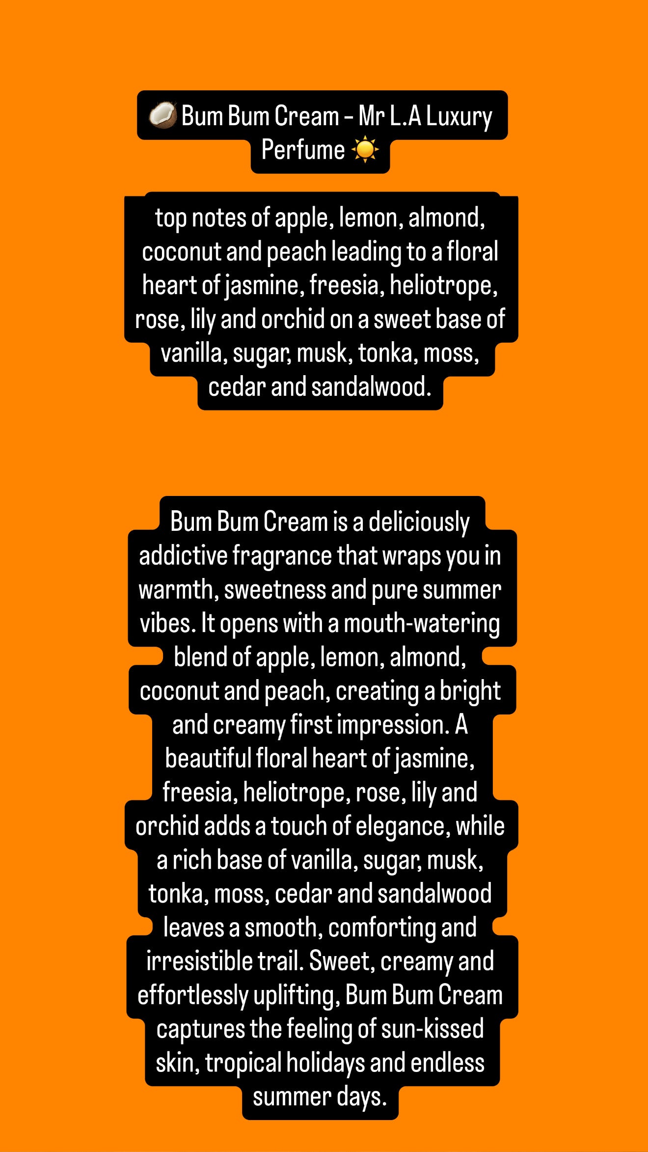 100ML Summer Collection