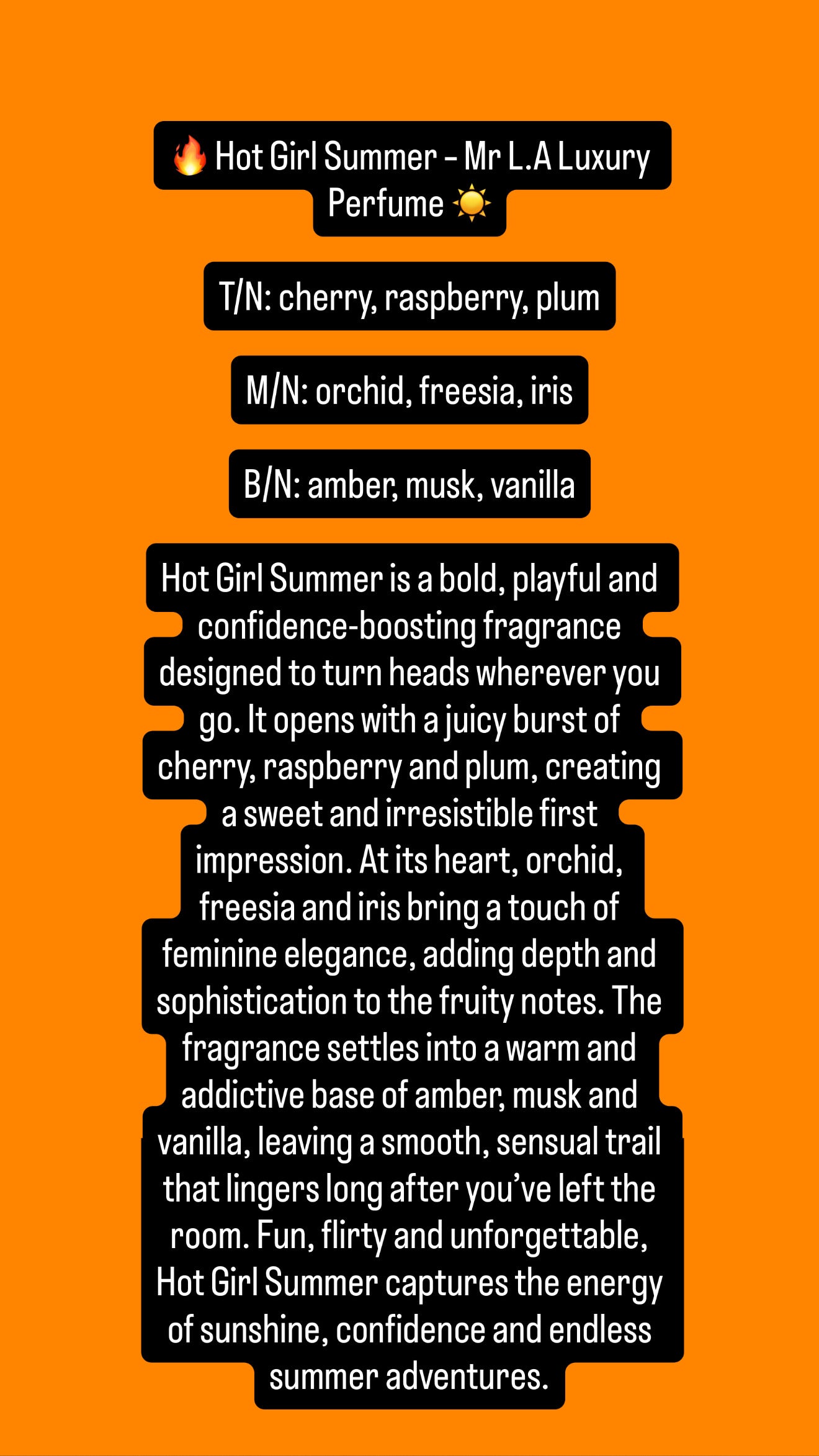 100ML Summer Collection