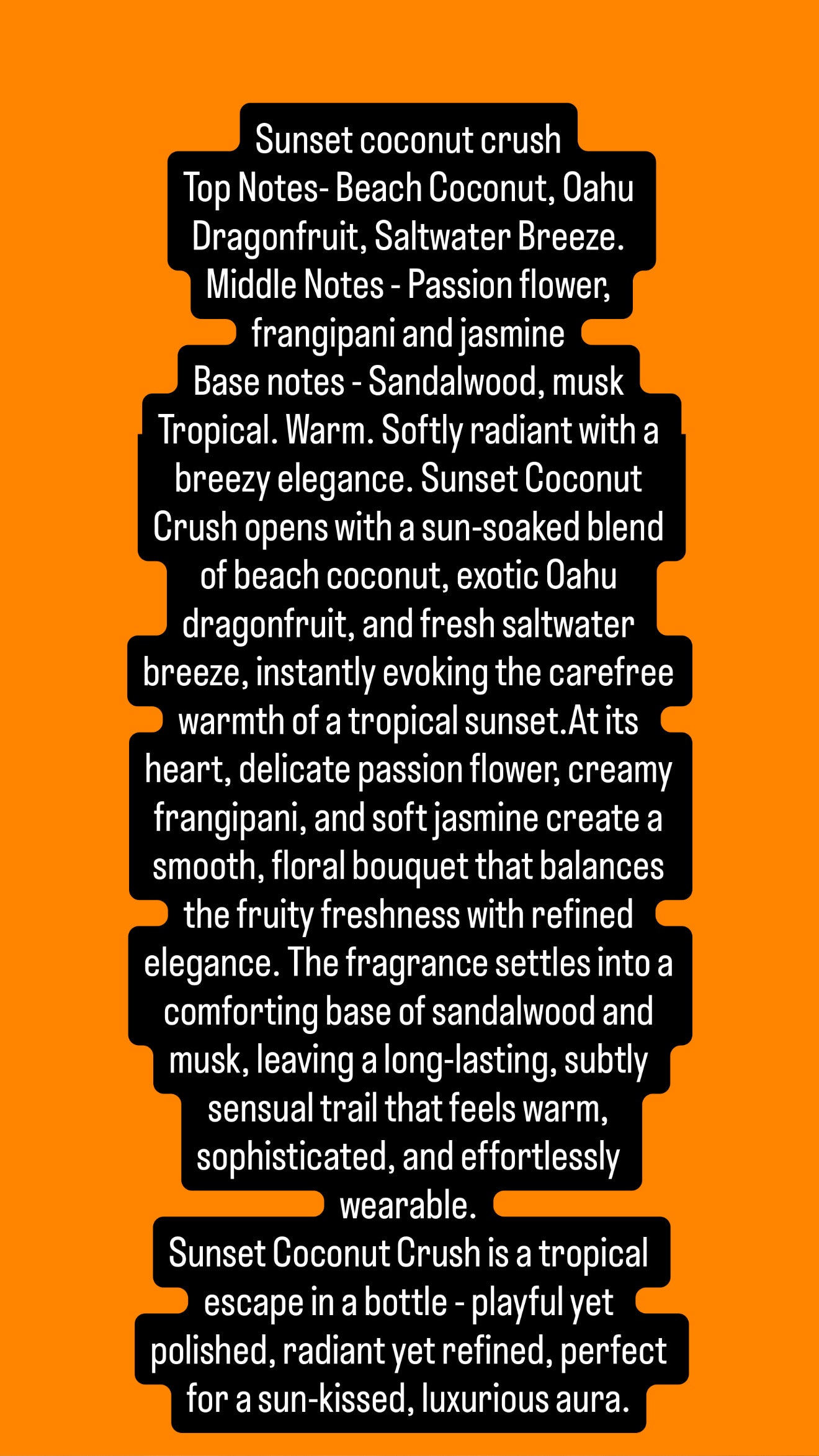 100ML Summer Collection